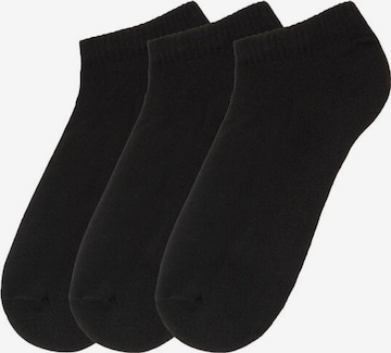 Tezenis Socks in Black: front