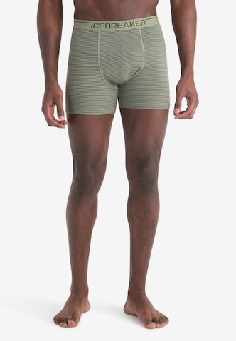 ICEBREAKER - Cueca desportiva 'Anatomica' em verde: frente