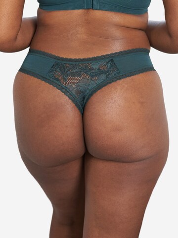 SugarShape String 'Vienna' in Groen