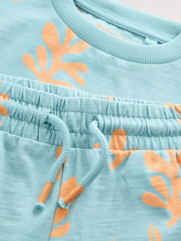 Next Set in Blue