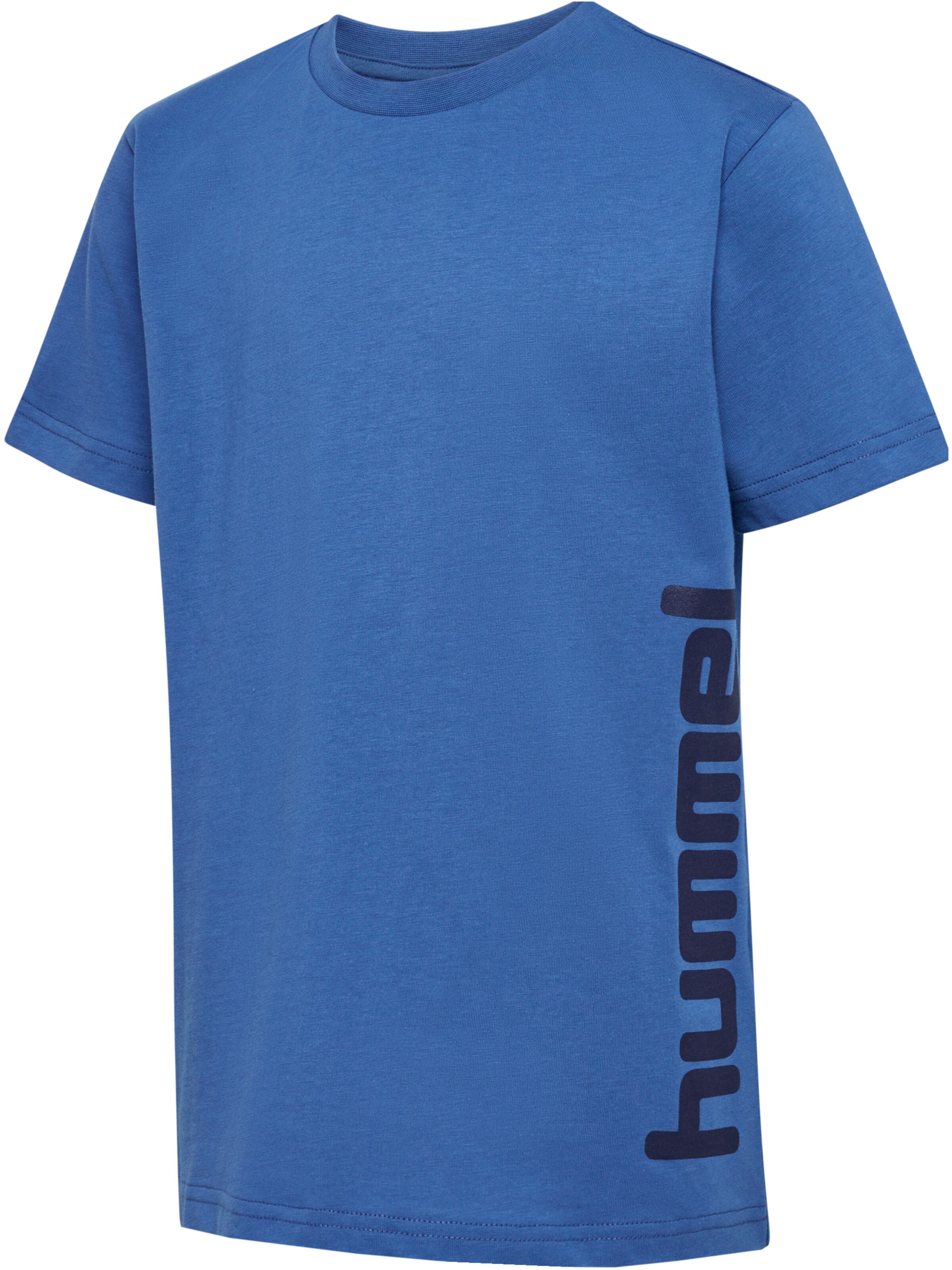 Hummel Shirts 'PRINT' i blå