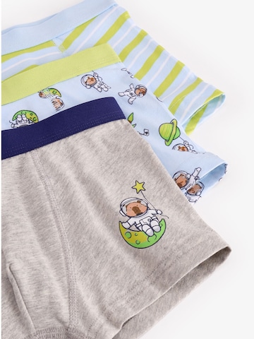Penti Alsónadrág 'PENTI Jungen Boxershorts Capybaras Space' - vegyes színek