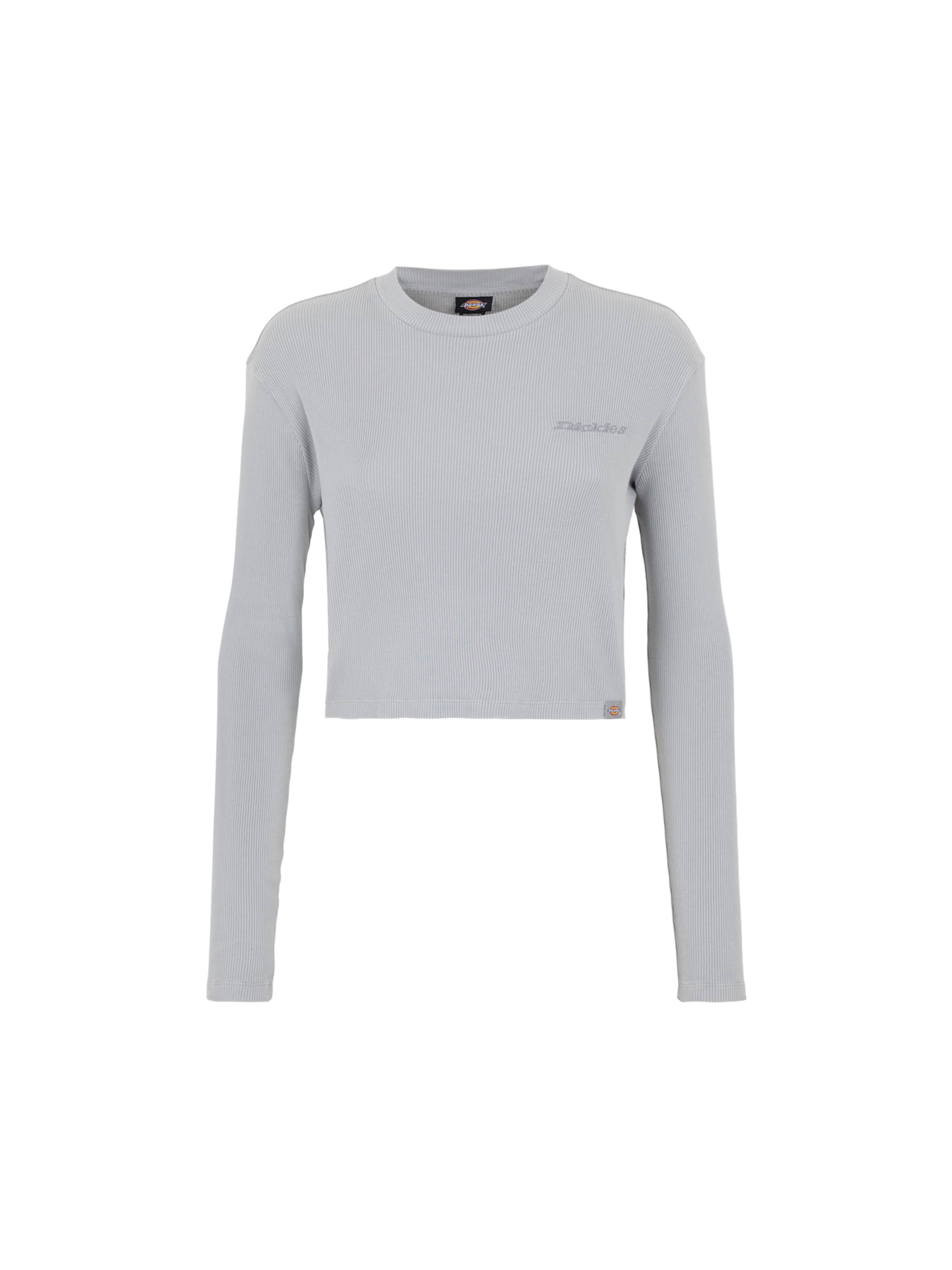 DICKIES Tričko 'Plentywood' - Sivá: predná strana