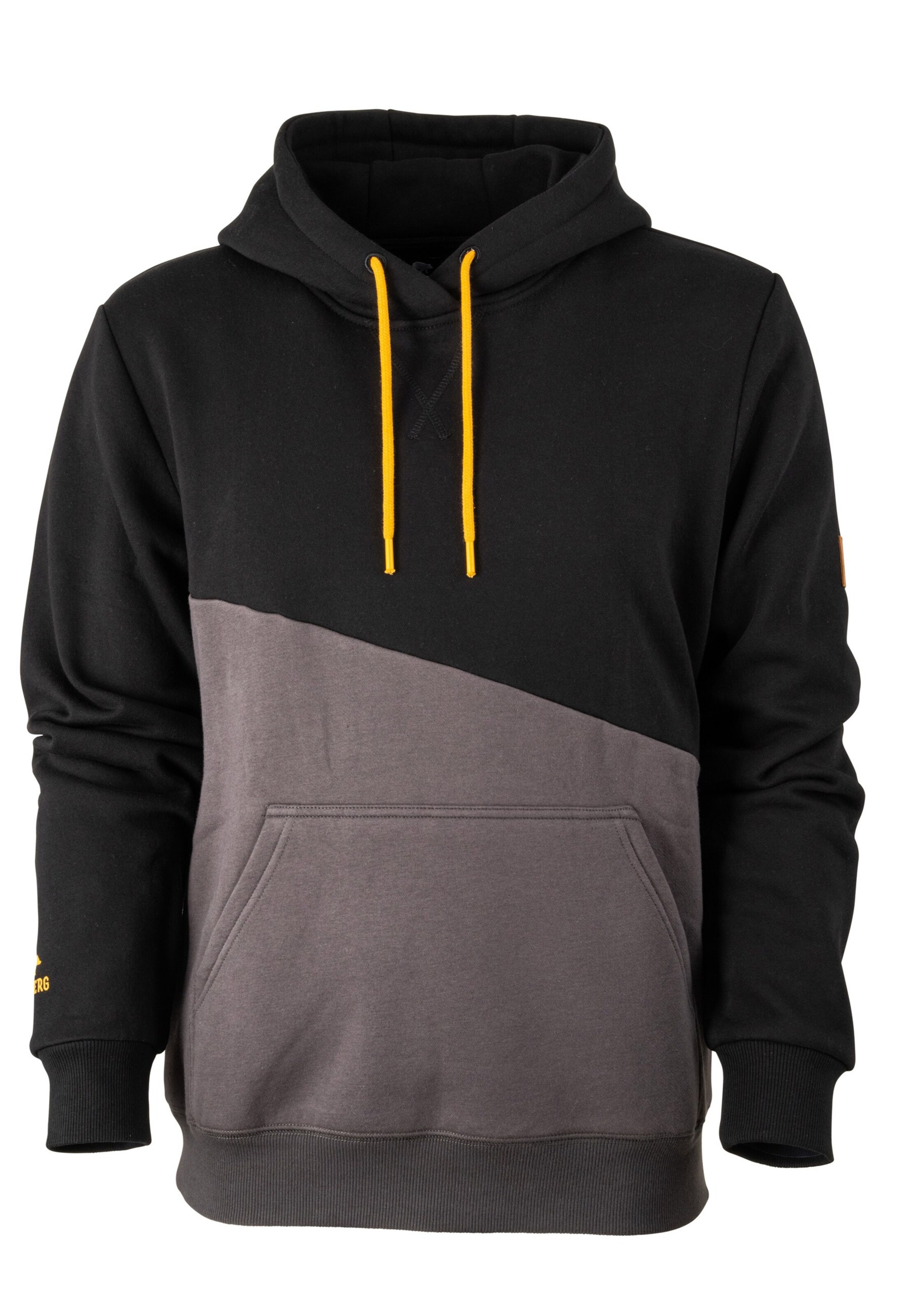 FORSBERG Sweatshirt in Grey: front