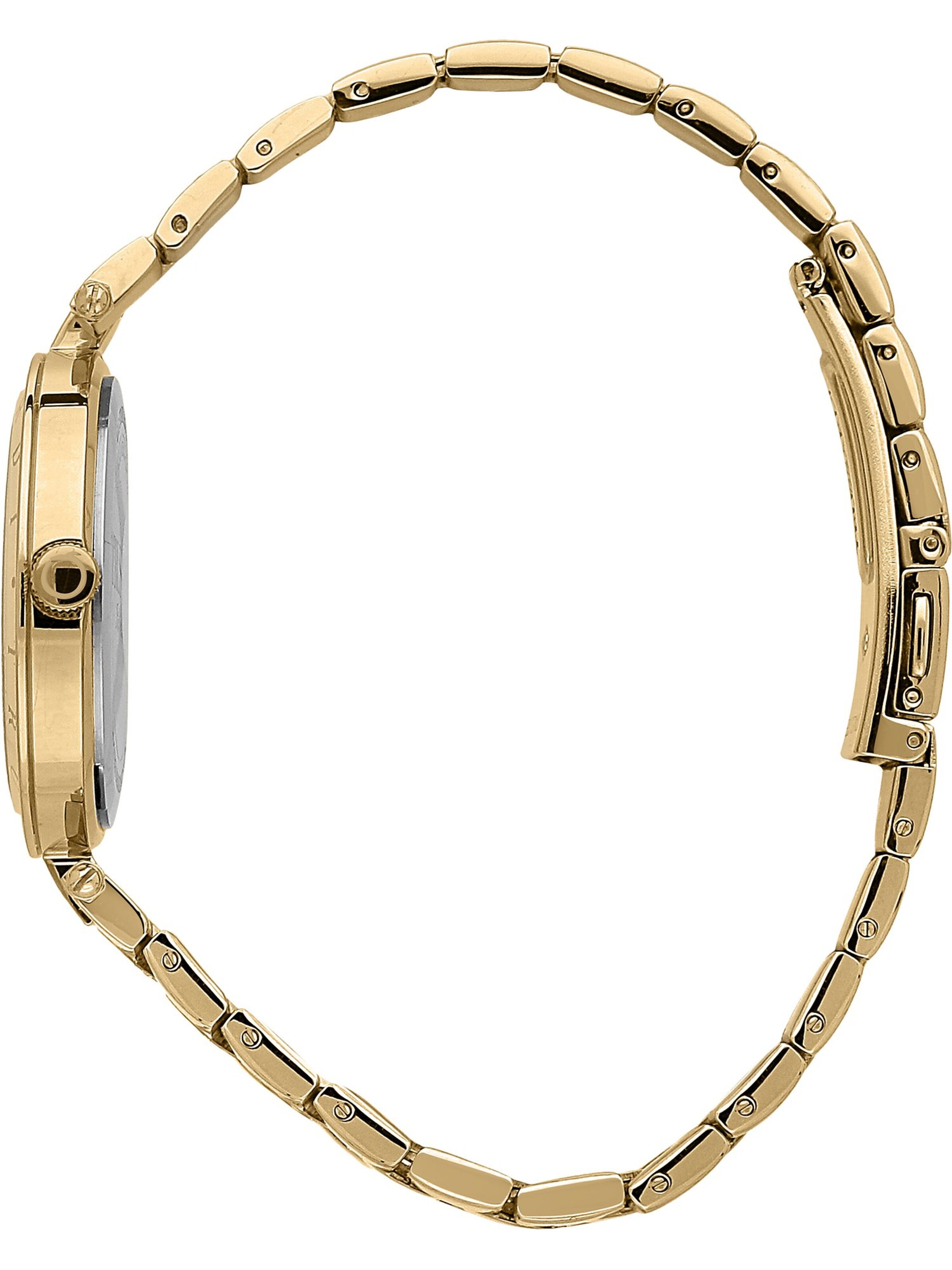 Trussardi Analog Watch in Gold