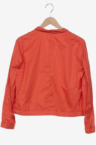 Maliparmi Jacket & Coat in S in Orange