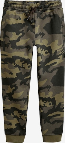 Tapered Pantaloni di Next in verde: frontale