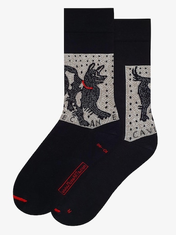 MuseARTa Socks 'Unbekannter römischer Künstler - Cave Canem, Casa del Poeta Tragico, Pompei' in Black: front