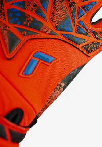 REUSCH Sporthandschoenen 'Attrakt Fusion Guardian' in Blauw