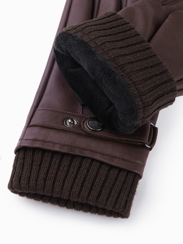 Gants Ombre en marron