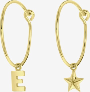 Lucardi Earrings in Gold: front