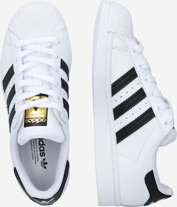 ADIDAS ORIGINALS Trampki niskie 'Superstar' w kolorze biały