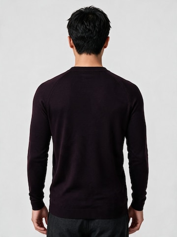 Antioch Slim Fit Pullover in Rot
