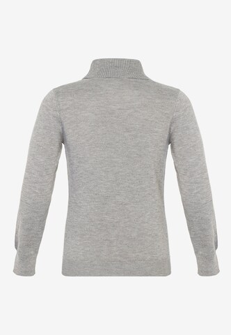 CIPO & BAXX Pullover in Grau