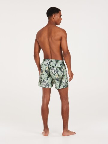 PROTEST Badeshorts 'PRTGLORY' in Grün