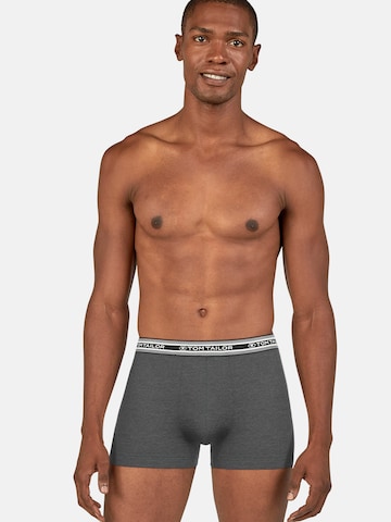 TOM TAILOR Boxer shorts in Grey: front