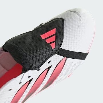 Chaussure de sport 'Predator Club' ADIDAS PERFORMANCE en blanc