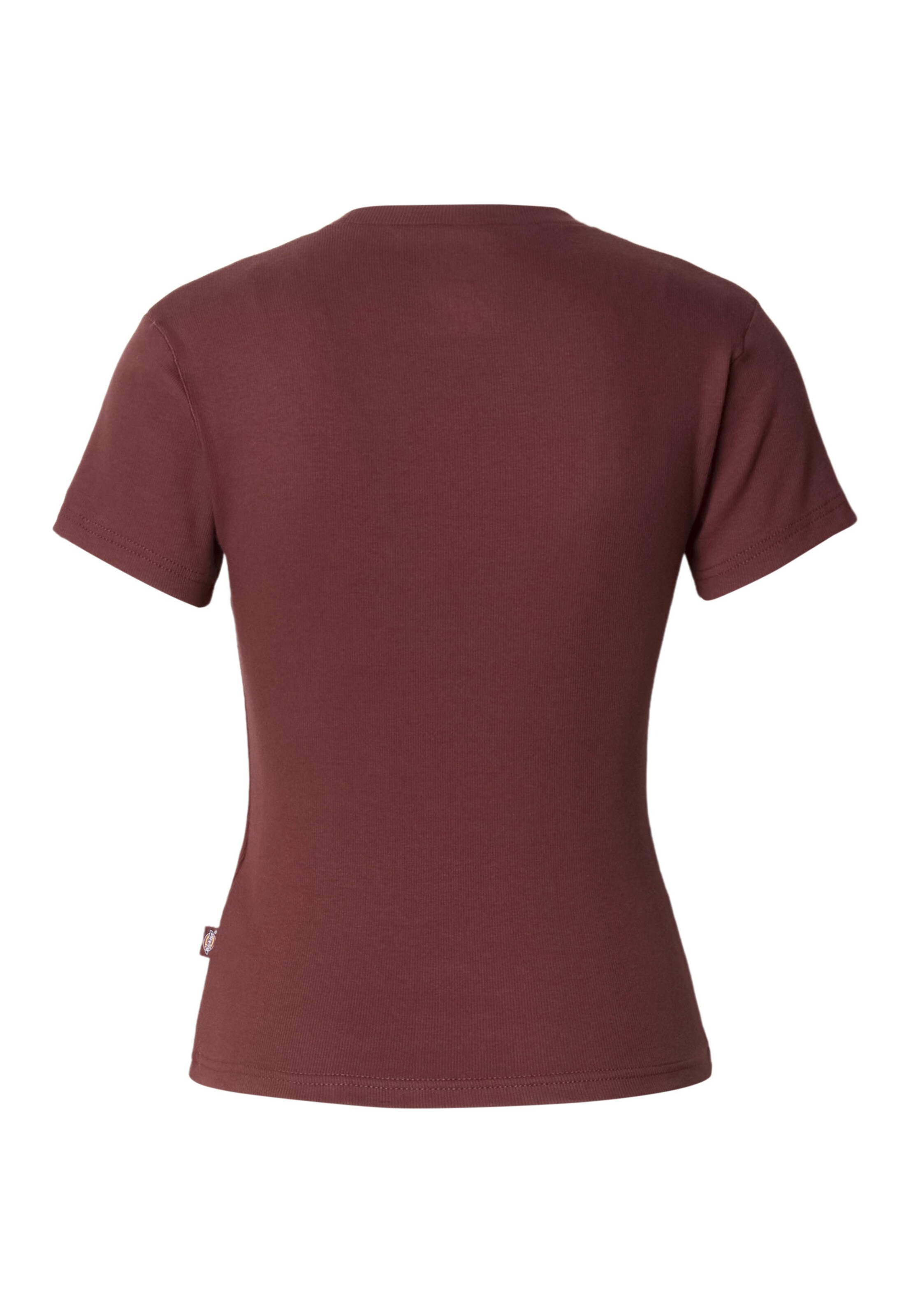 Maglietta 'Gladeville' di DICKIES in marrone