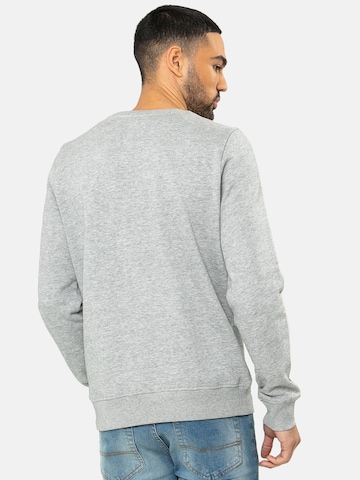 Threadbare Sweatshirt 'Satsuma' in Grey