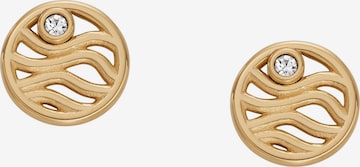 SKAGEN Earrings in Gold: front