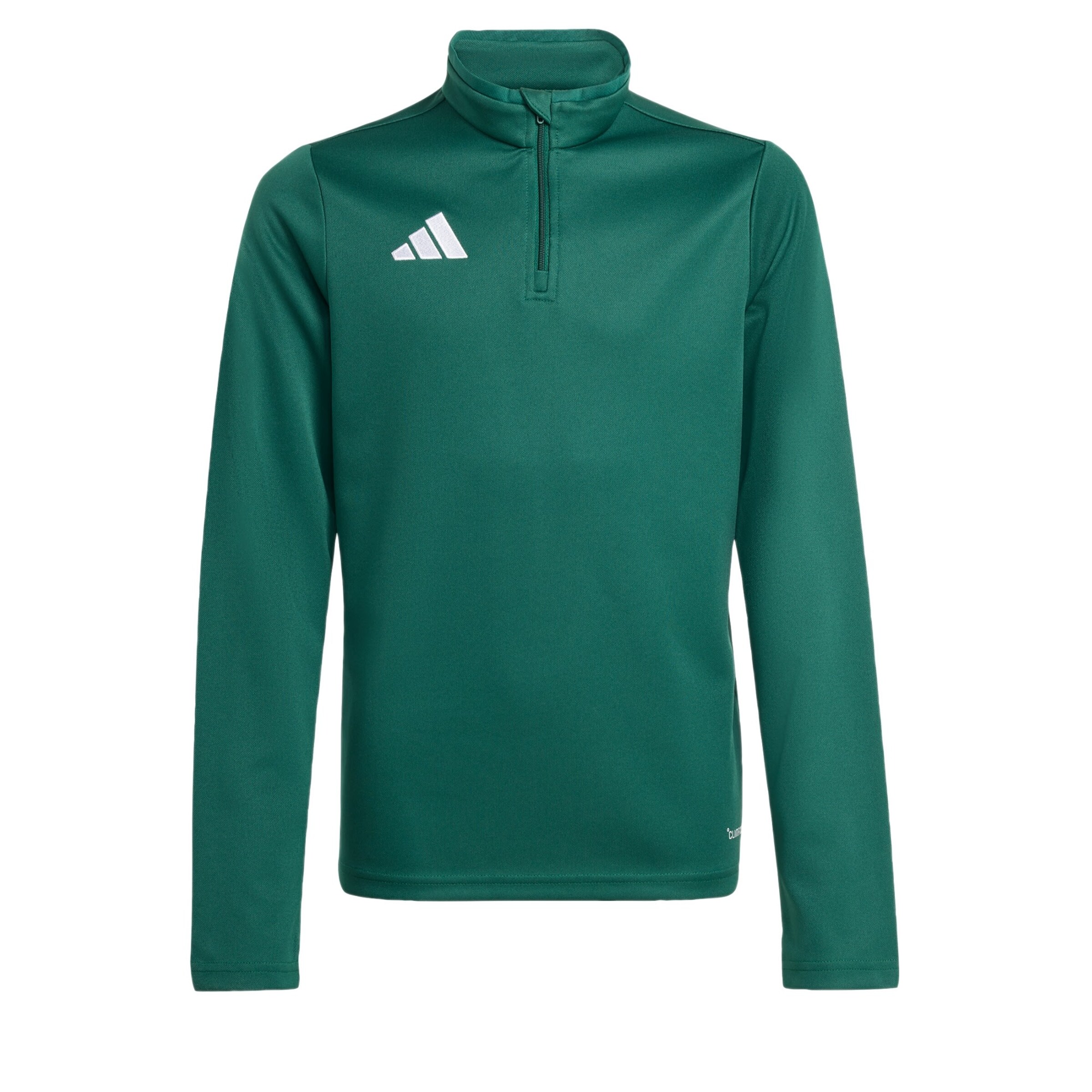 T-Shirt fonctionnel 'Entrada26' ADIDAS PERFORMANCE en vert : devant