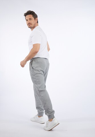 HECHTER PARIS Tapered Trousers in Grey