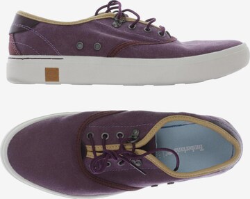 TIMBERLAND Sneakers & Trainers in 39 in Purple: front