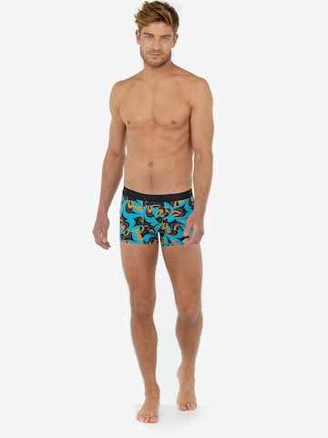 HOM Boxer shorts 'Jimi' in Blue