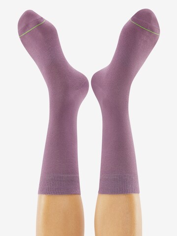 CHEERIO* Socks in Purple: back