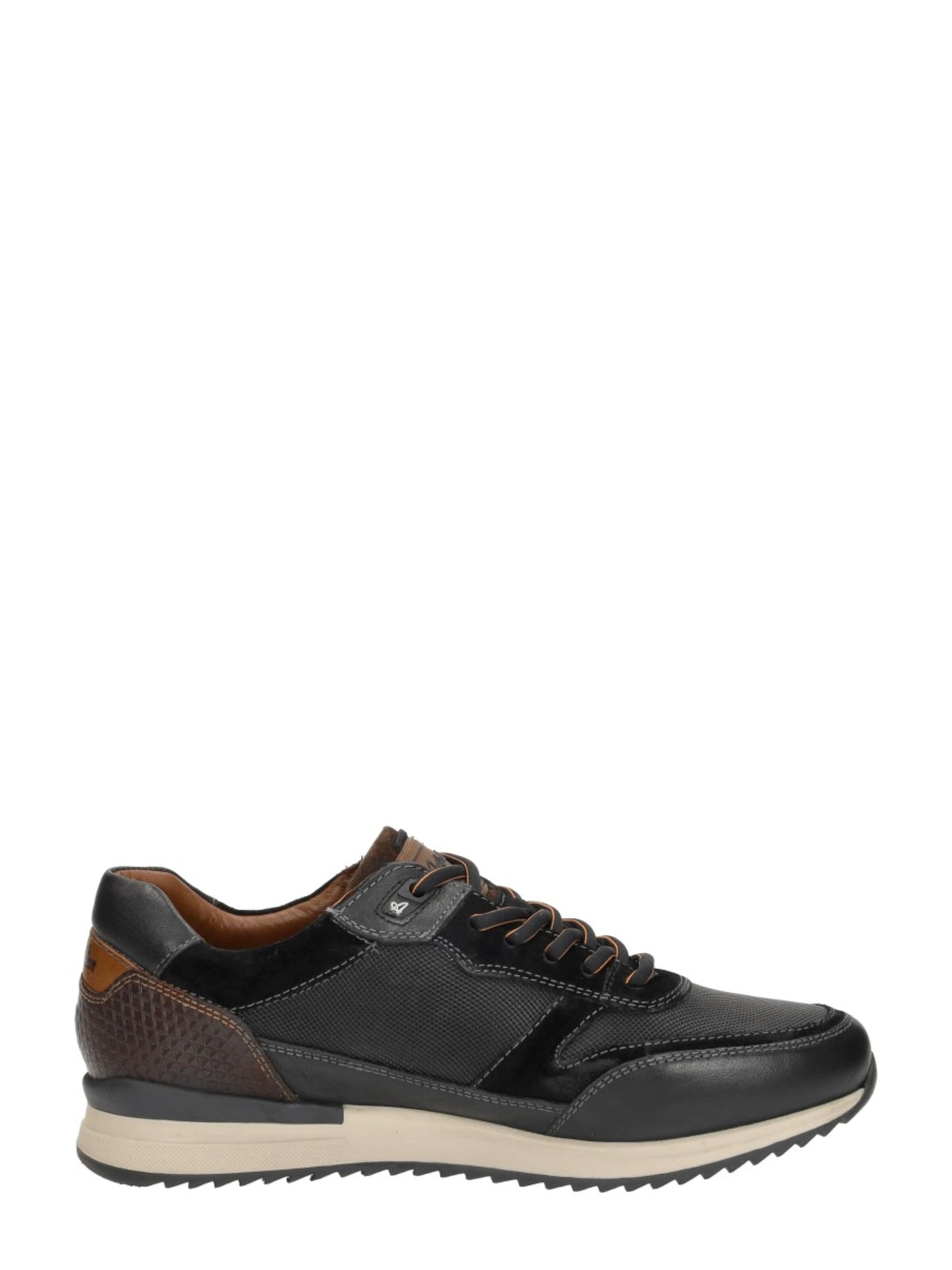 Australian Platform trainers 'Filmon' in Black