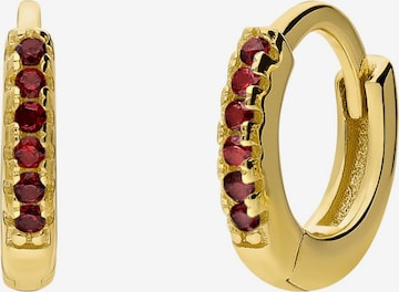 Lucardi Ohrringe in Gold: Vorderseite