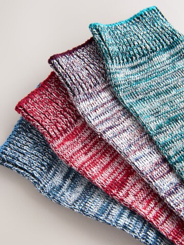 Next Socken in Mischfarben