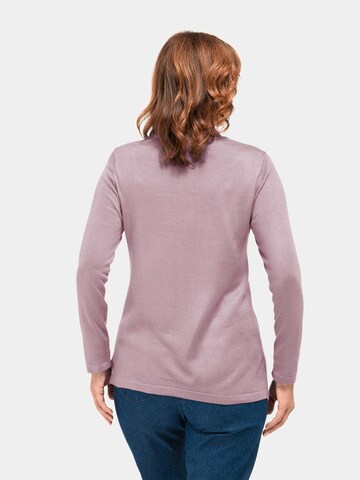 Goldner Pullover in Pink