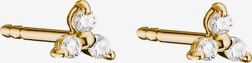 Thomas Sabo Ohrringe in Gelb: Vorderseite