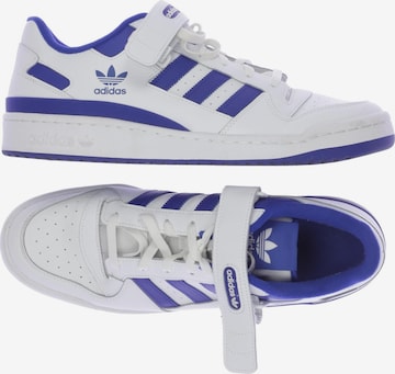 ADIDAS ORIGINALS Sneaker 48,5 in Weiß: Vorderseite