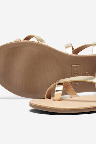 ONLY Sandalen met riem 'MANDALA-15' in Goud