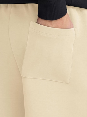 regular Pantaloni ' SDRoland ' di !Solid in beige