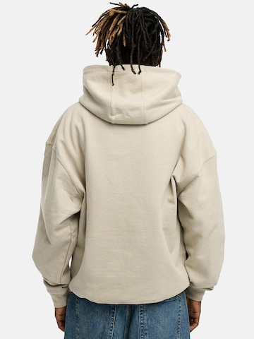 Daily Cotton Sweatshirt 'DCAUSTIN' in Grau