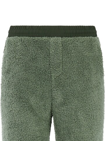 PROTEST Regular Trousers 'PRTRisk' in Green