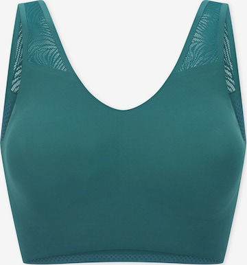 SCHIESSER Bustier ' Invisible Soft Lace ' in Grün: Vorderseite