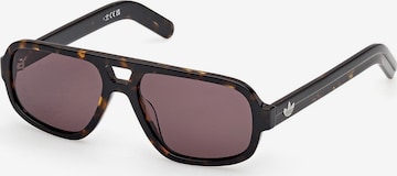 Occhiali da sole di ADIDAS ORIGINALS in marrone: frontale