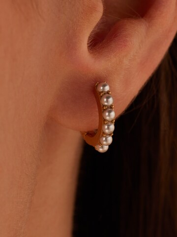 Lucardi Earrings in Gold