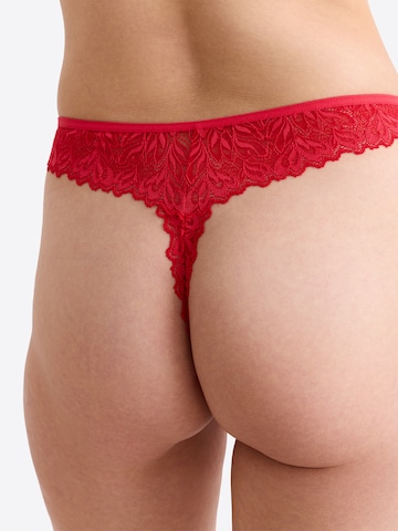 Erlich Textil String 'Dreamy Lace' in Rot