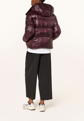 darling harbour Pufferjacke in Rot: Rückseite