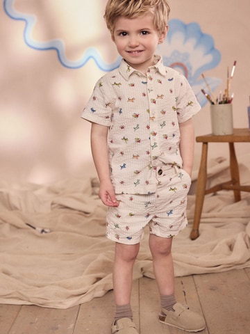 Next Set: Hemd und Shorts in Beige