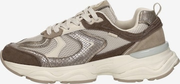 Baskets basses 'Norah Komo' MEXX en gris : devant
