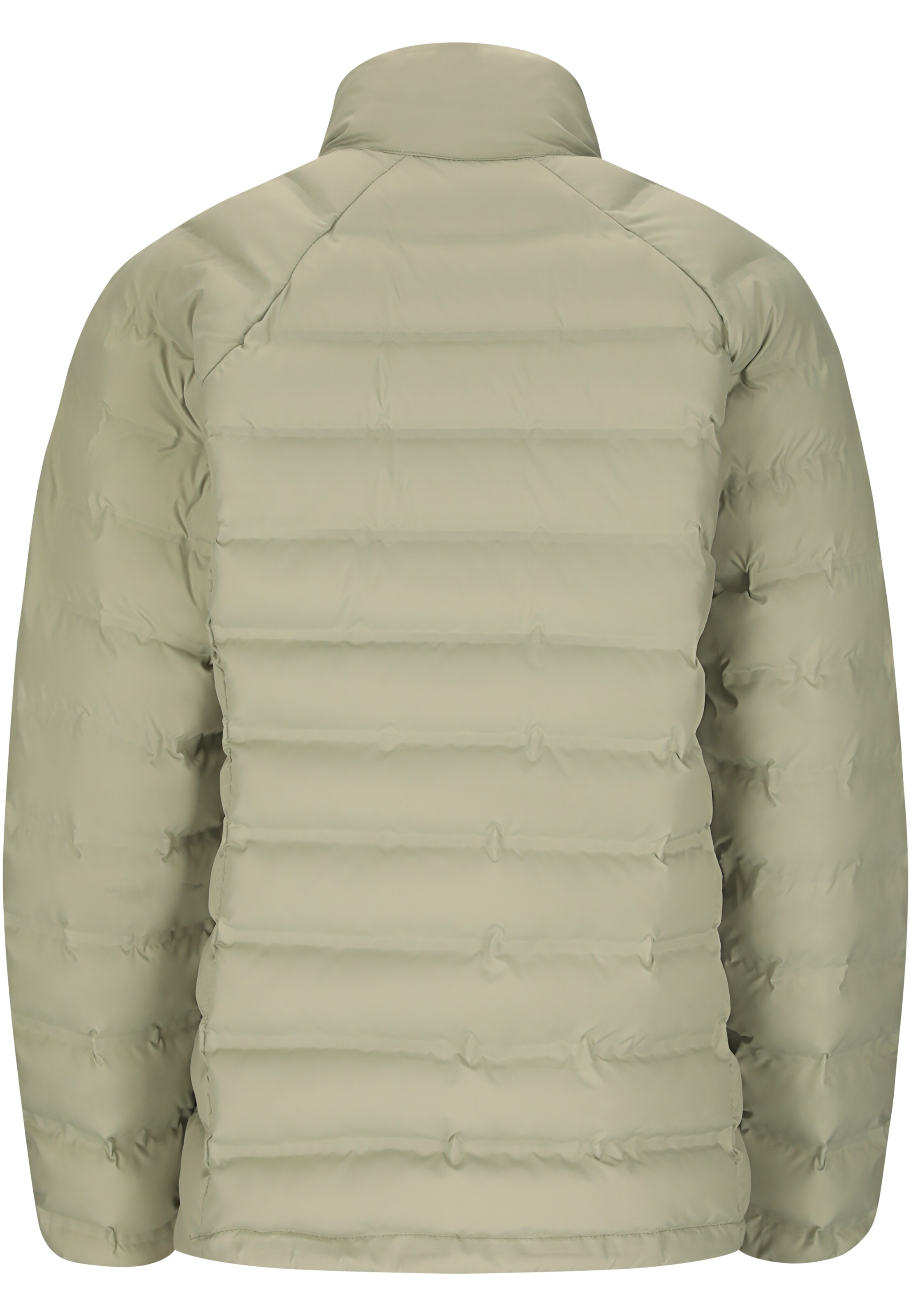 Whistler Outdoor jacket 'Froze' in Green