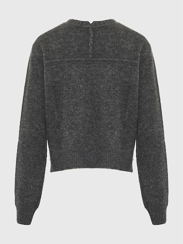 Funky Buddha Tröja i grå