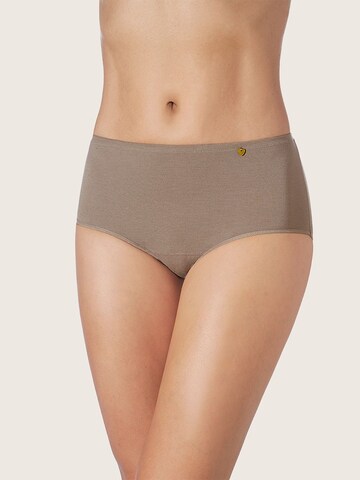 zd ZERO DEFECTS Boyshorts 'Atenea soy fiber high waist panty' in Brown: front