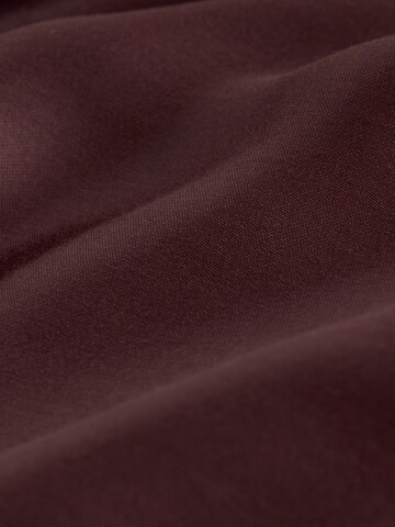 Next Barrel Hose in Braun